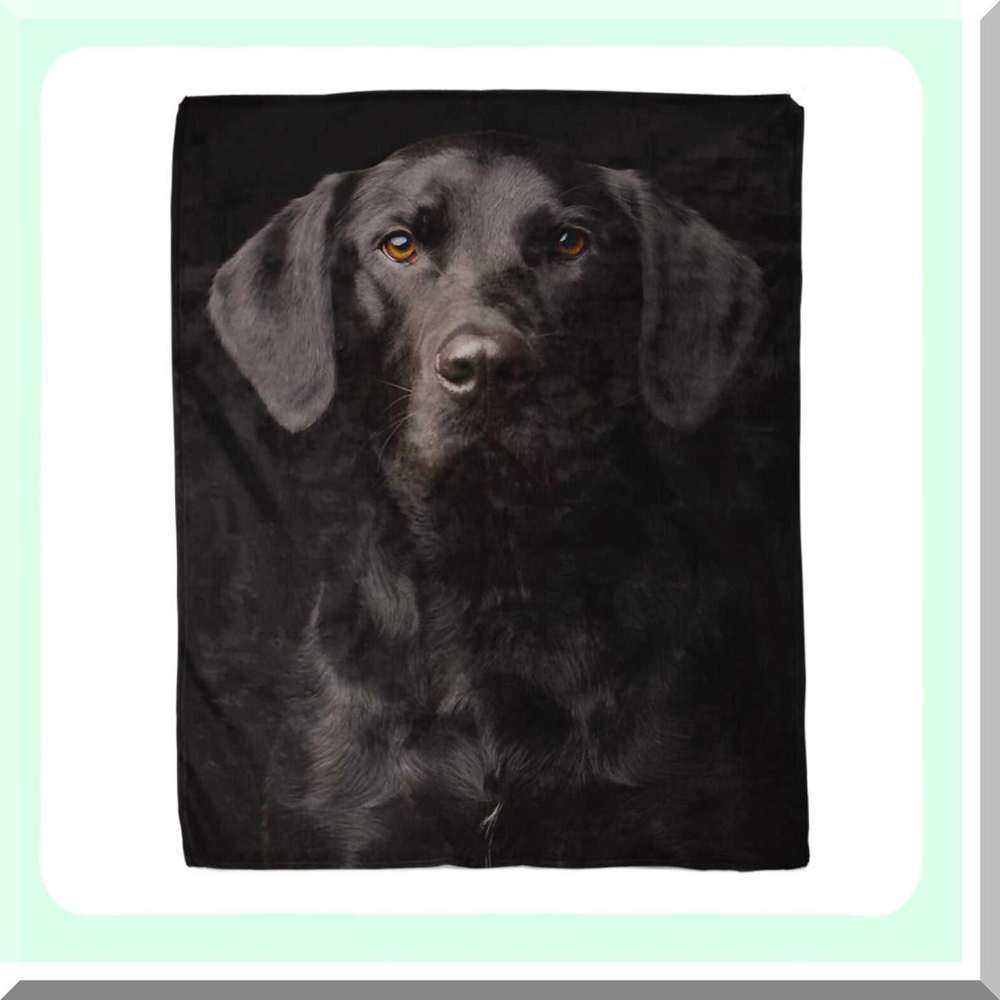 Curious Labrador Cozy Flannel Throw - 50x60 Inches Soft Warm Decorative Blanket for Couch, Sofa, Bed
