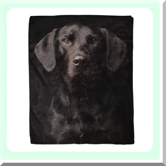 Curious Labrador Cozy Flannel Throw - 50x60 Inches Soft Warm Decorative Blanket for Couch, Sofa, Bed