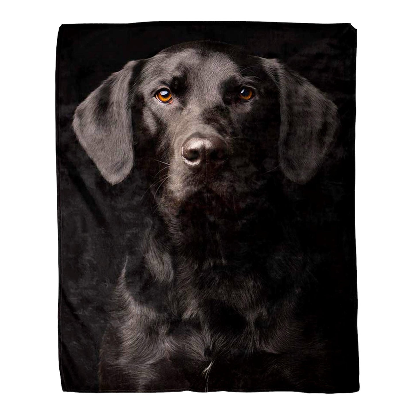 Curious Labrador Cozy Flannel Throw - 50x60 Inches Soft Warm Decorative Blanket for Couch, Sofa, Bed