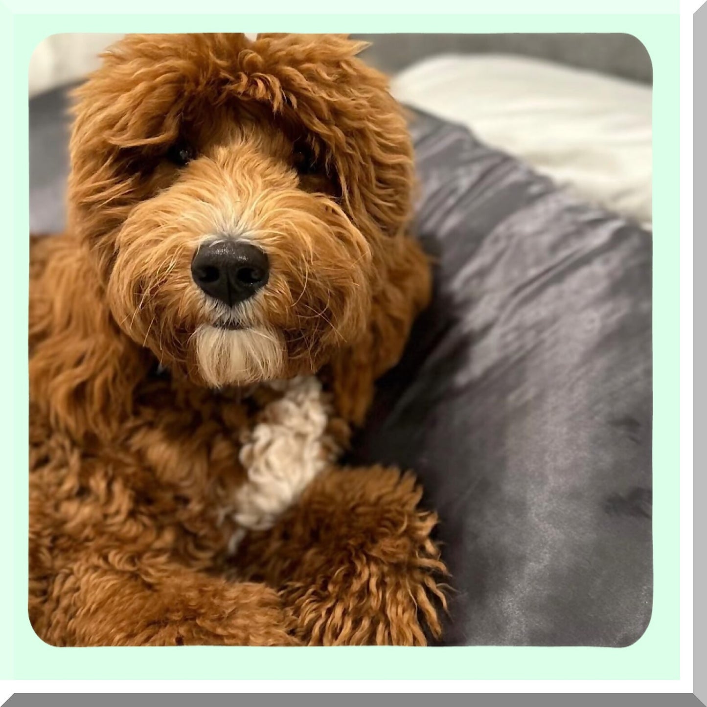 Charcoal Dream Pillowcase Set - 2 Pack | Soft & Breathable Pillow Covers | Luxury Bedding Accessories | Hypoallergenic Pillow Protectors