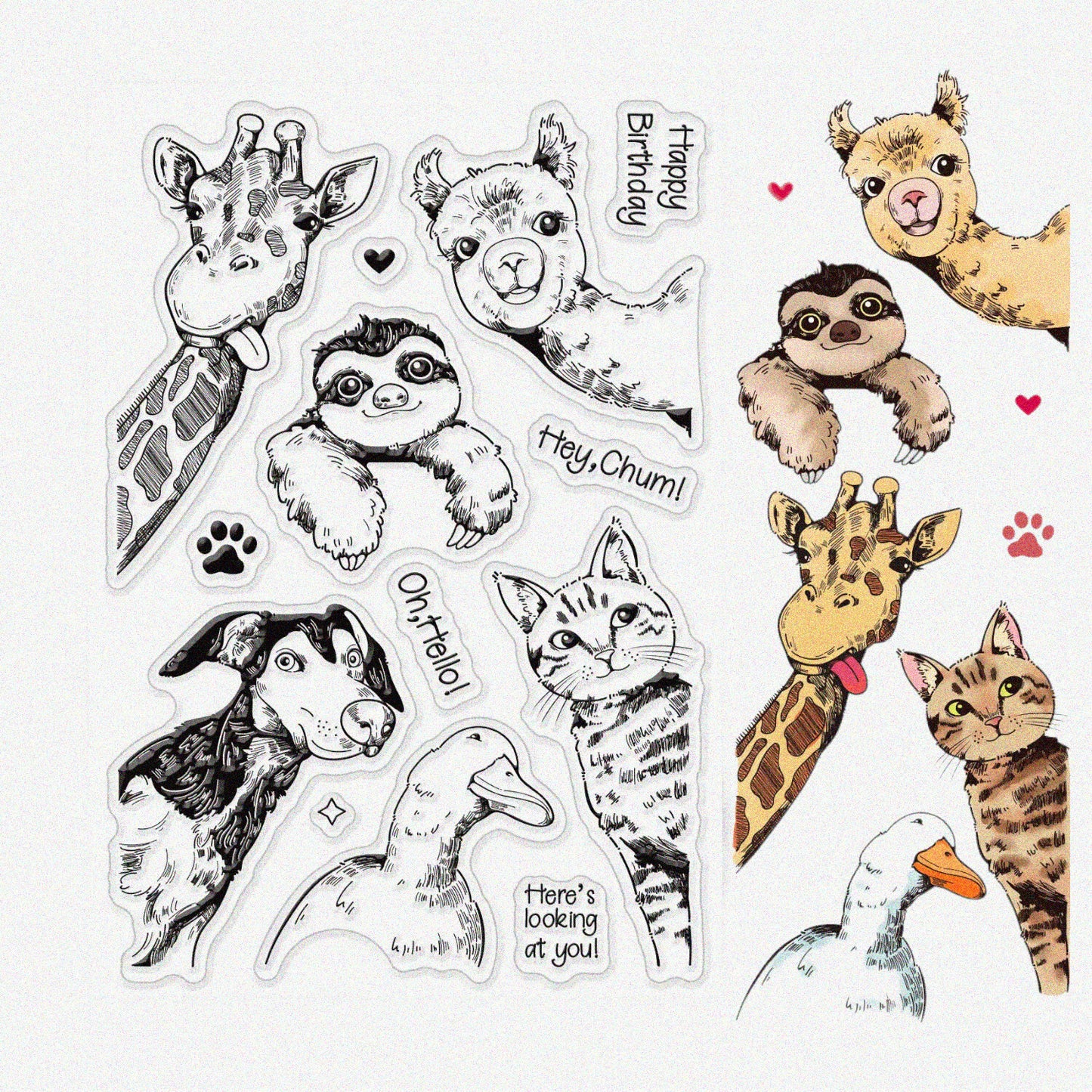 Animal Clear Silicone Stamps Set for Card Making