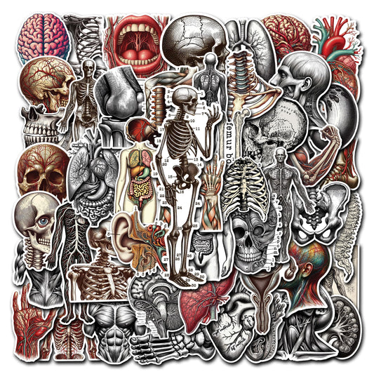 50 Vintage Skeleton Stickers for Kids and Teens