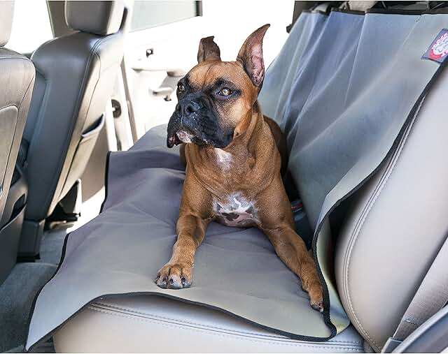 Universal Waterproof Back Seat Cover