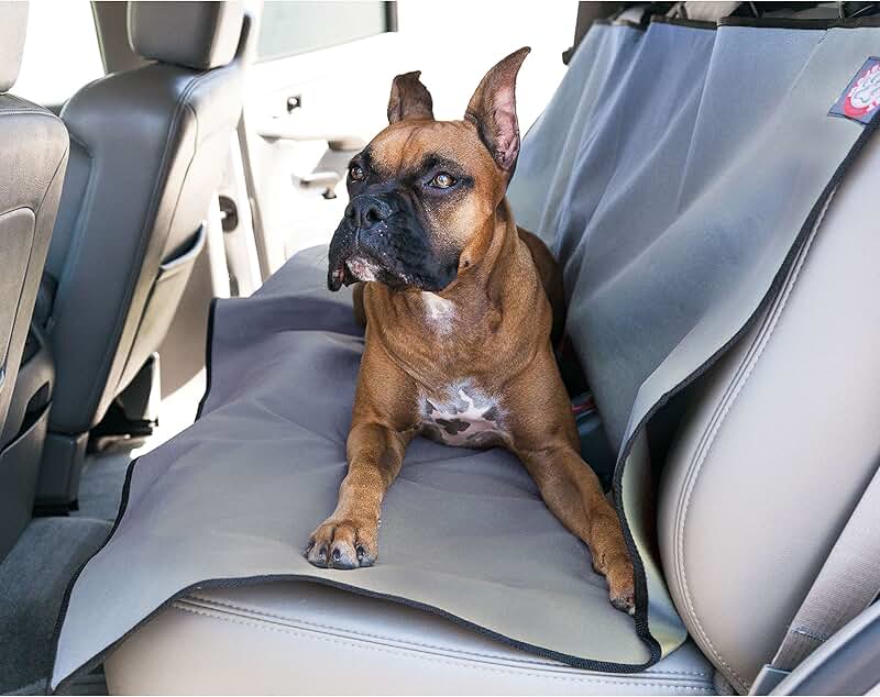 Universal Waterproof Back Seat Cover