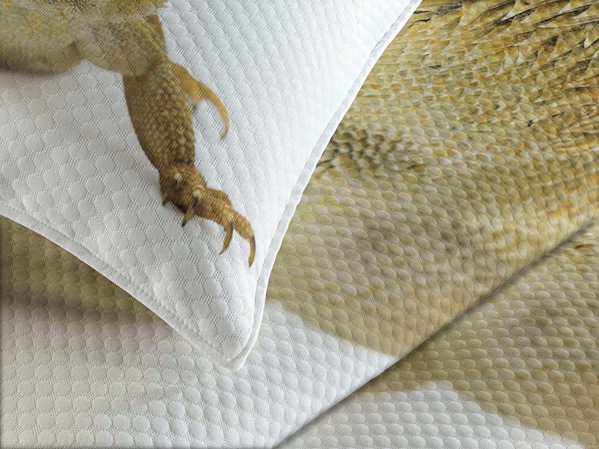Bearded Dragon Bedspread, Camouflaging Lizard Wild Tropical Animal Reptilian Photo Print, Decorative Quilted 3 Piece Coverlet Set with 2 Pillow Shams, Queen Size, White Pale Khaki