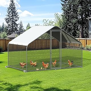 Durable Chicken Coop with Wheels and Predator Protection