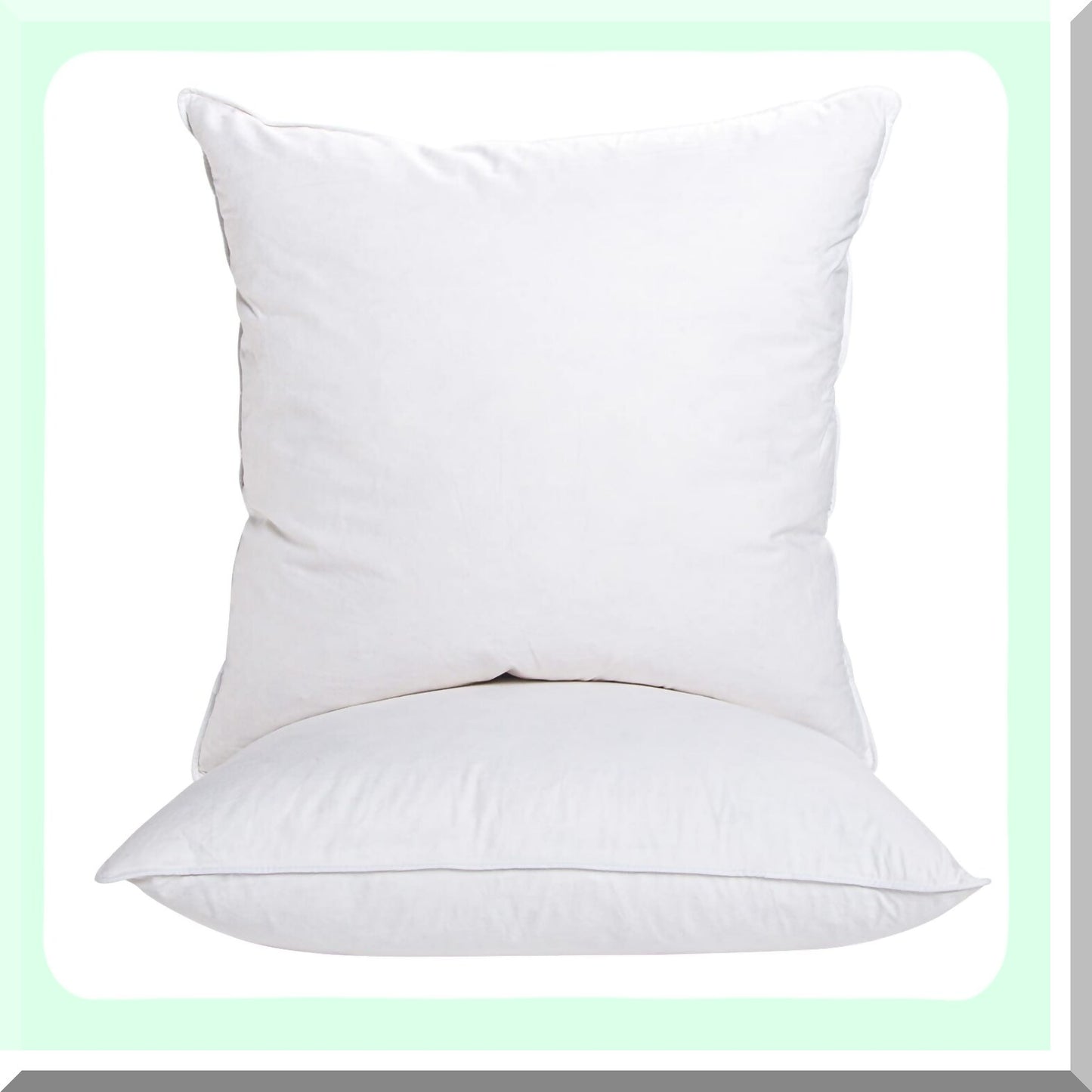 Luxury Plush Pillow Set - 16x16 Inch Indoor Decorative Sofa Cushions - Soft Down Bed Pillows for Couch - Set of 2 Cozy Inserts