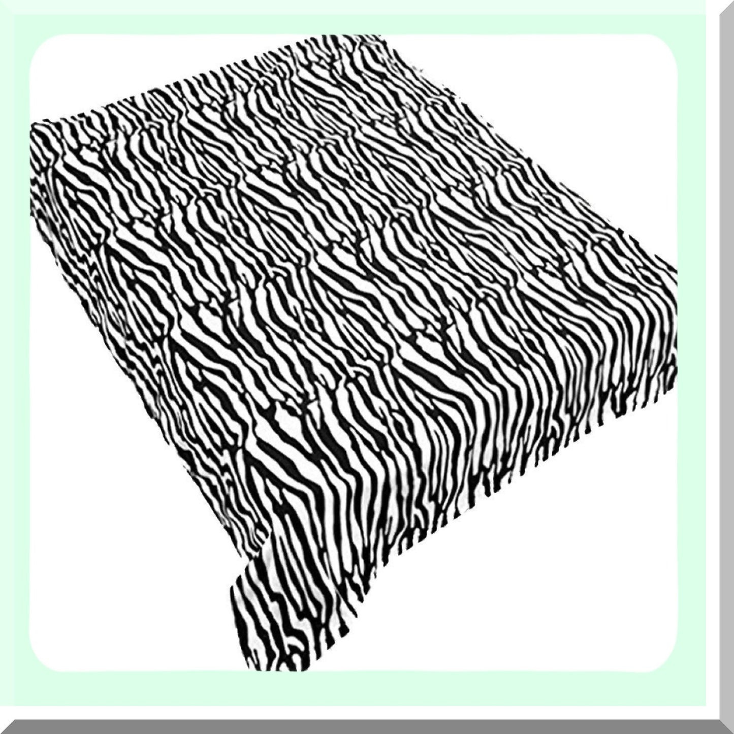 Zebra Safari Plush Blanket - Super Soft, Warm & Cozy Fleece Throw, Queen Size, Black & White Animal Print Bedding