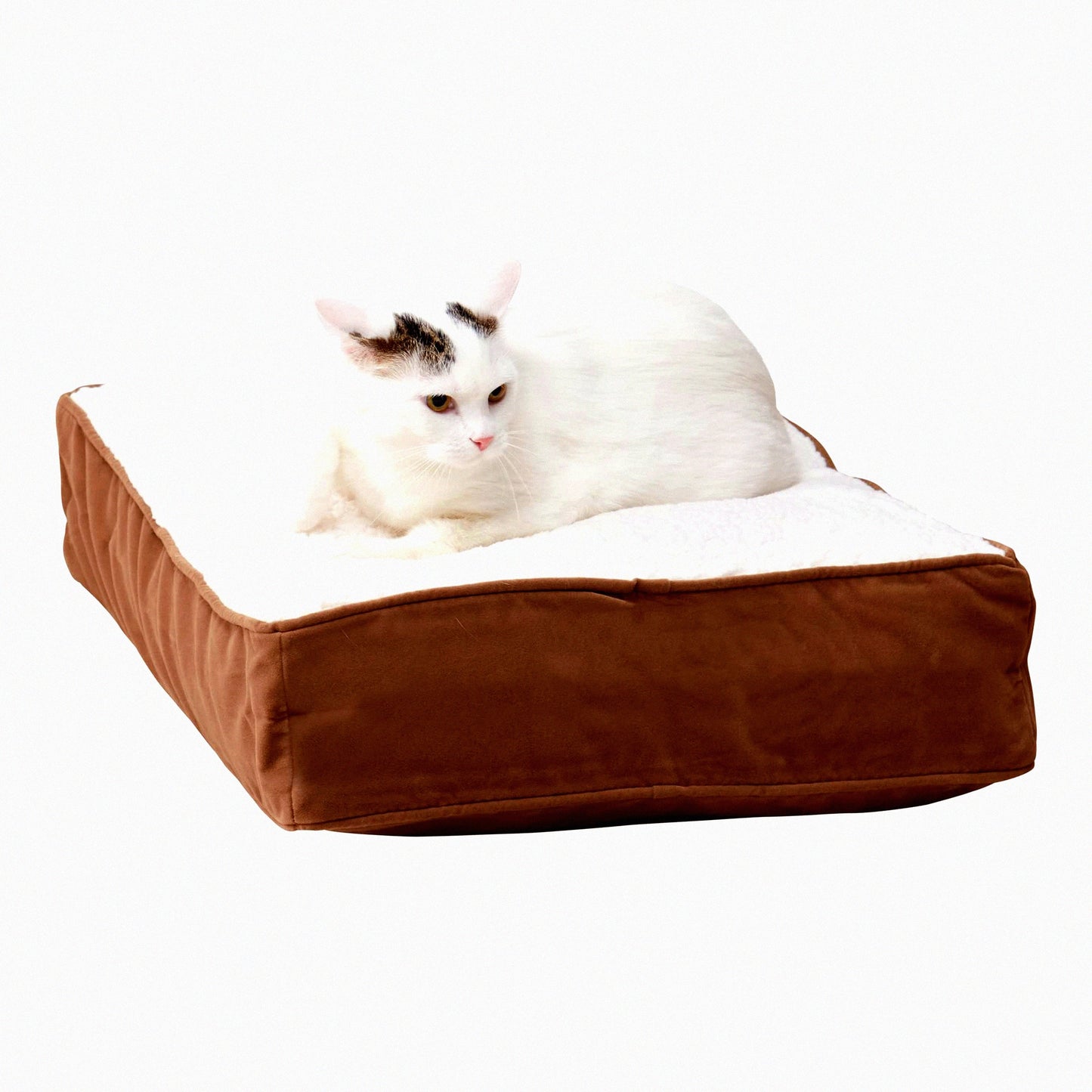 CozyCat Willow Sherpa Pillow Bed - Reversible Rectangle Design for Cats - Latte Color - Soft and Comfortable Pet Bed for Sleeping and Lounging