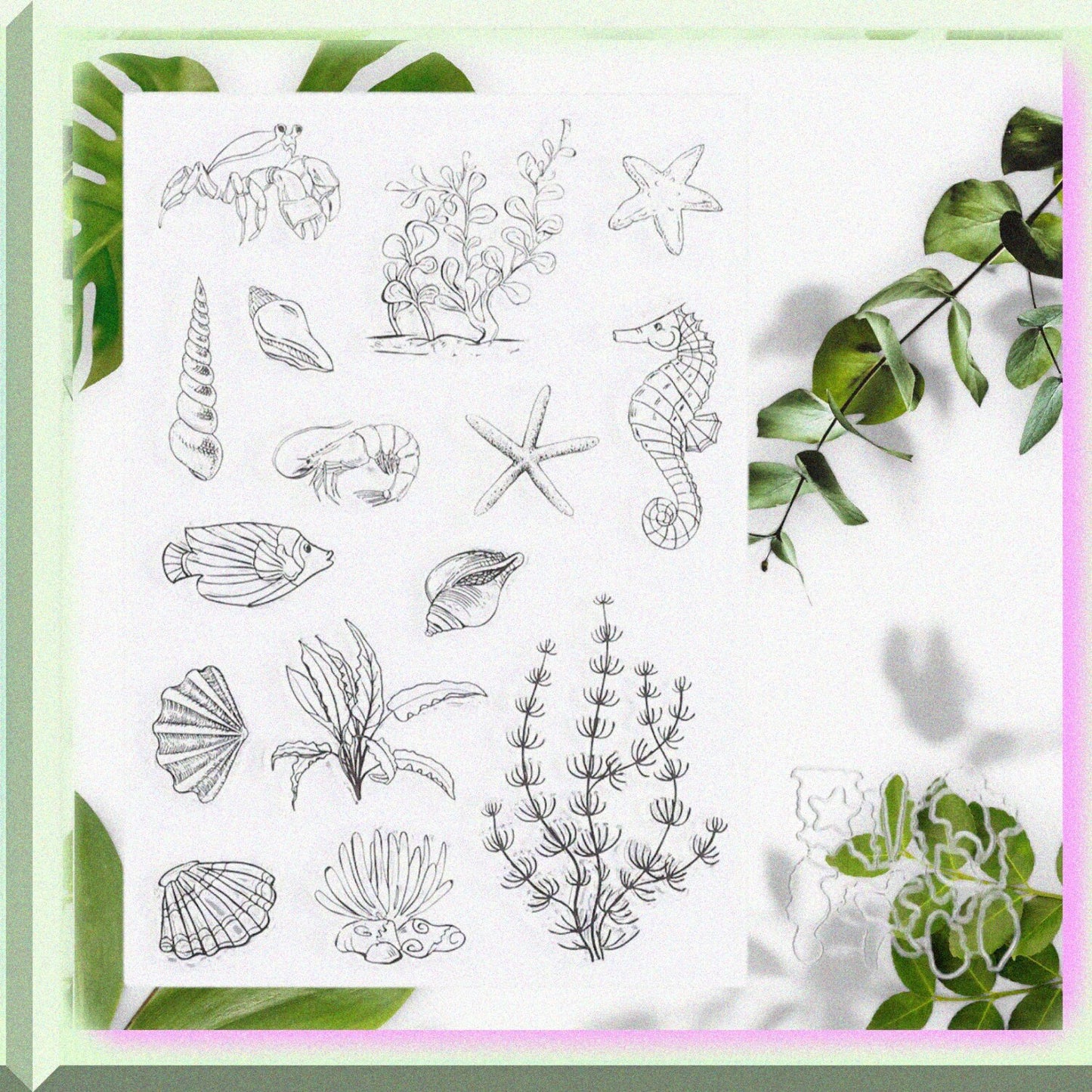Sea Horse Conch Pattern Clear Rubber Stamp and Die Set