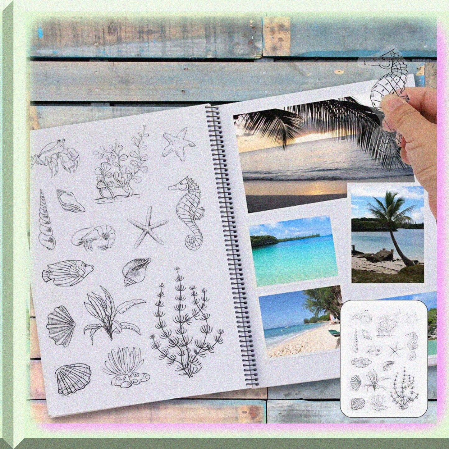 Sea Horse Conch Pattern Clear Rubber Stamp and Die Set