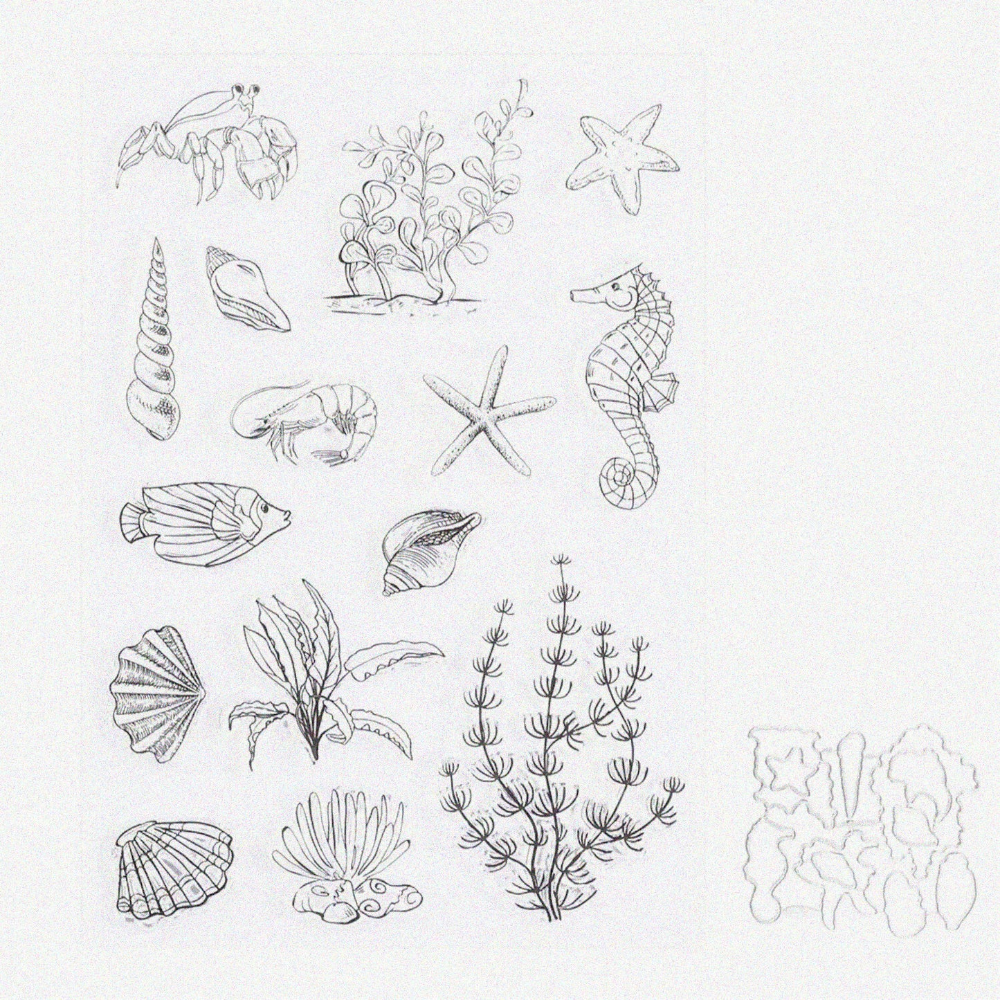 Sea Horse Conch Pattern Clear Rubber Stamp and Die Set