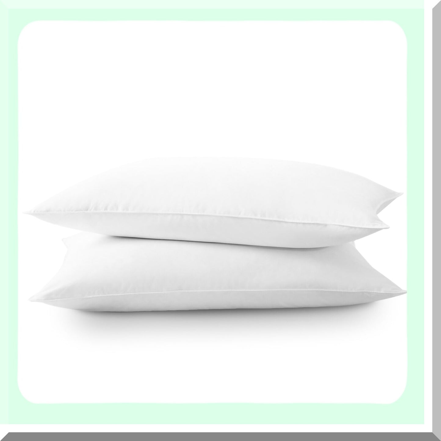 CozyDreams Plush Pillow Set - 2 Pack Standard Size, Premium Support for Side, Back, Stomach Sleepers - Breathable Down Alternative, 20x26in