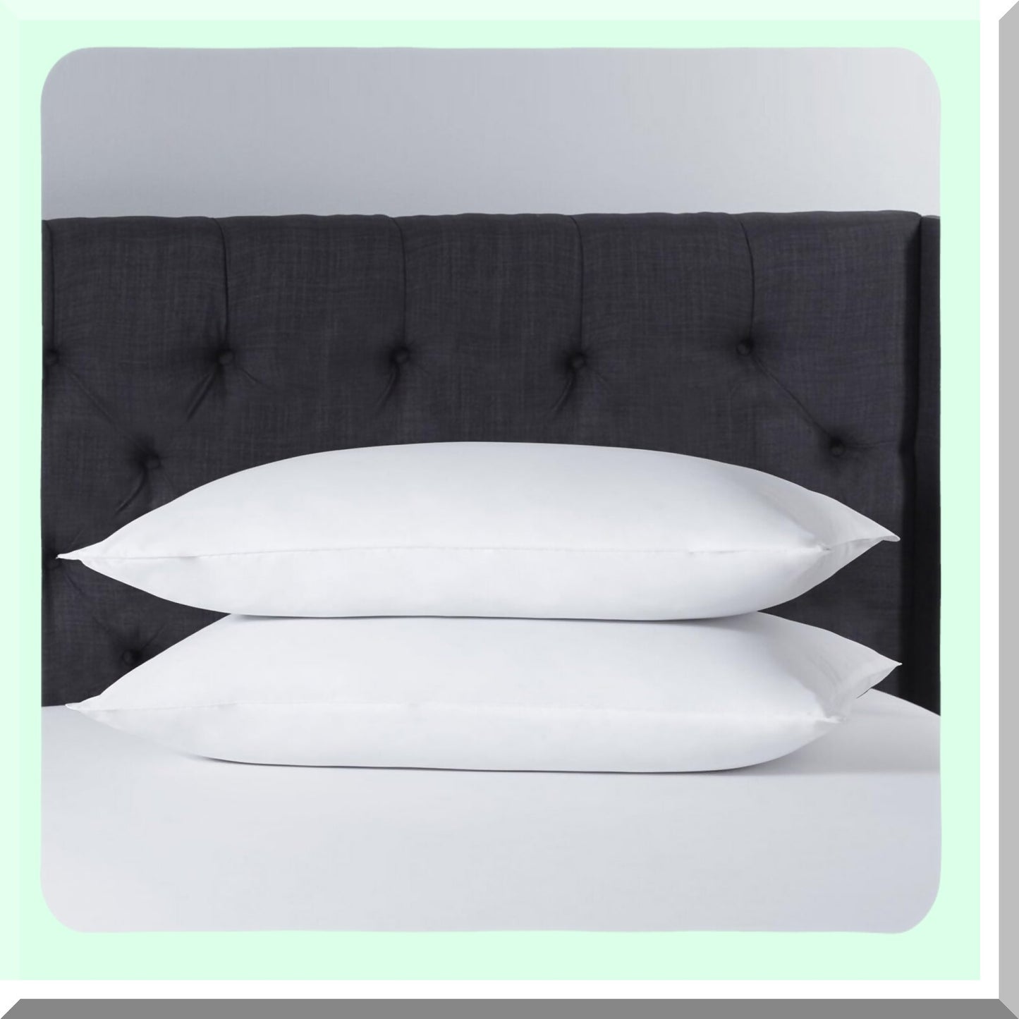 CozyDreams Plush Pillow Set - 2 Pack Standard Size, Premium Support for Side, Back, Stomach Sleepers - Breathable Down Alternative, 20x26in