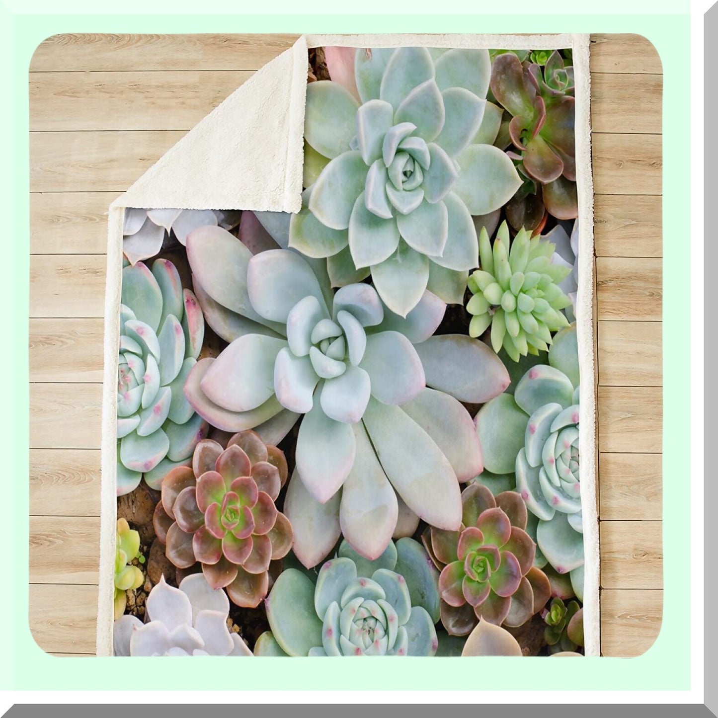 Succulent Serenity Sherpa Throw - Cozy Cactus Fleece Blanket for Couch, Bed, or Sofa - Chic Green Botanical Design, Soft & Warm for Women and Adults, 50"x60""