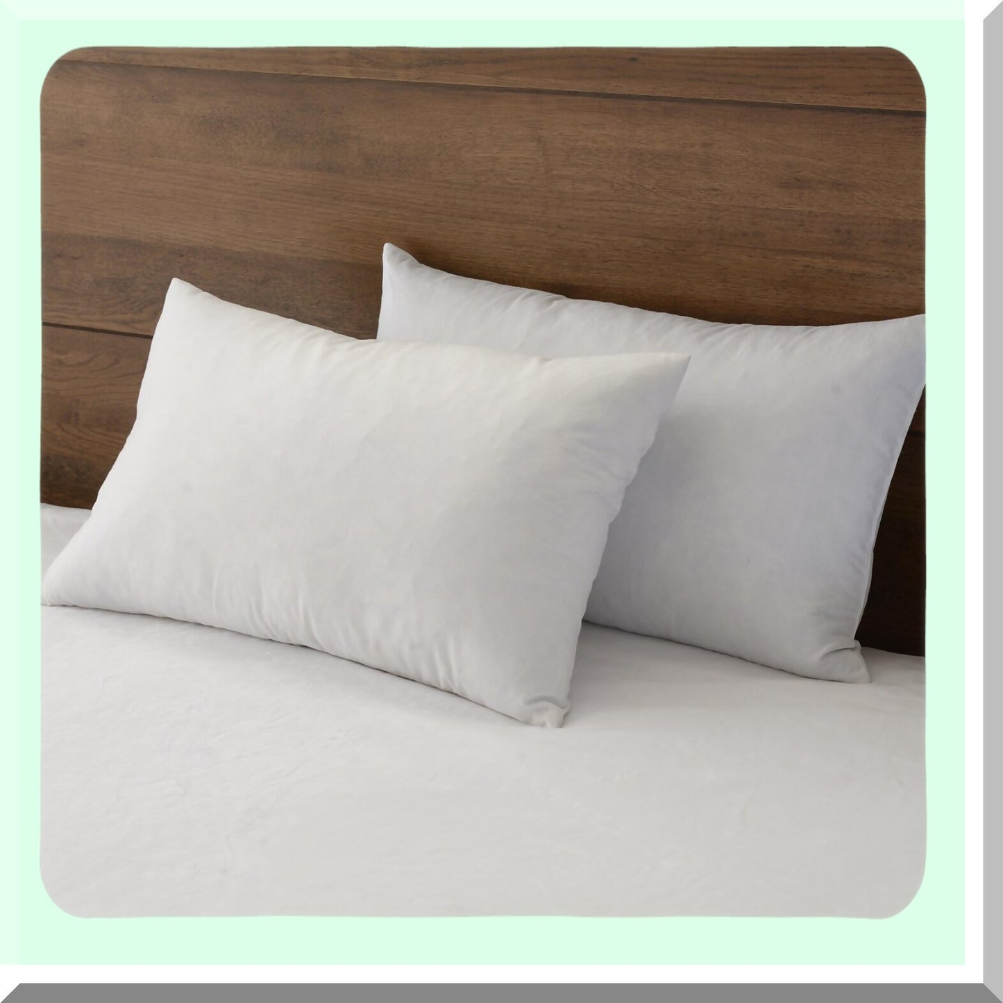 Luxury Down Pillow Inserts - 12x20 Inch 2 Pack - Premium Soft Cotton Euro Rectangle Decorative Core Set for Bed, Sofa, Couch - Ivory White
