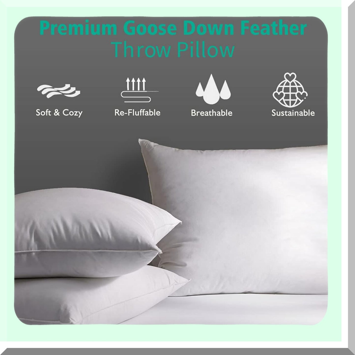 Luxury Down Pillow Inserts - 12x20 Inch 2 Pack - Premium Soft Cotton Euro Rectangle Decorative Core Set for Bed, Sofa, Couch - Ivory White