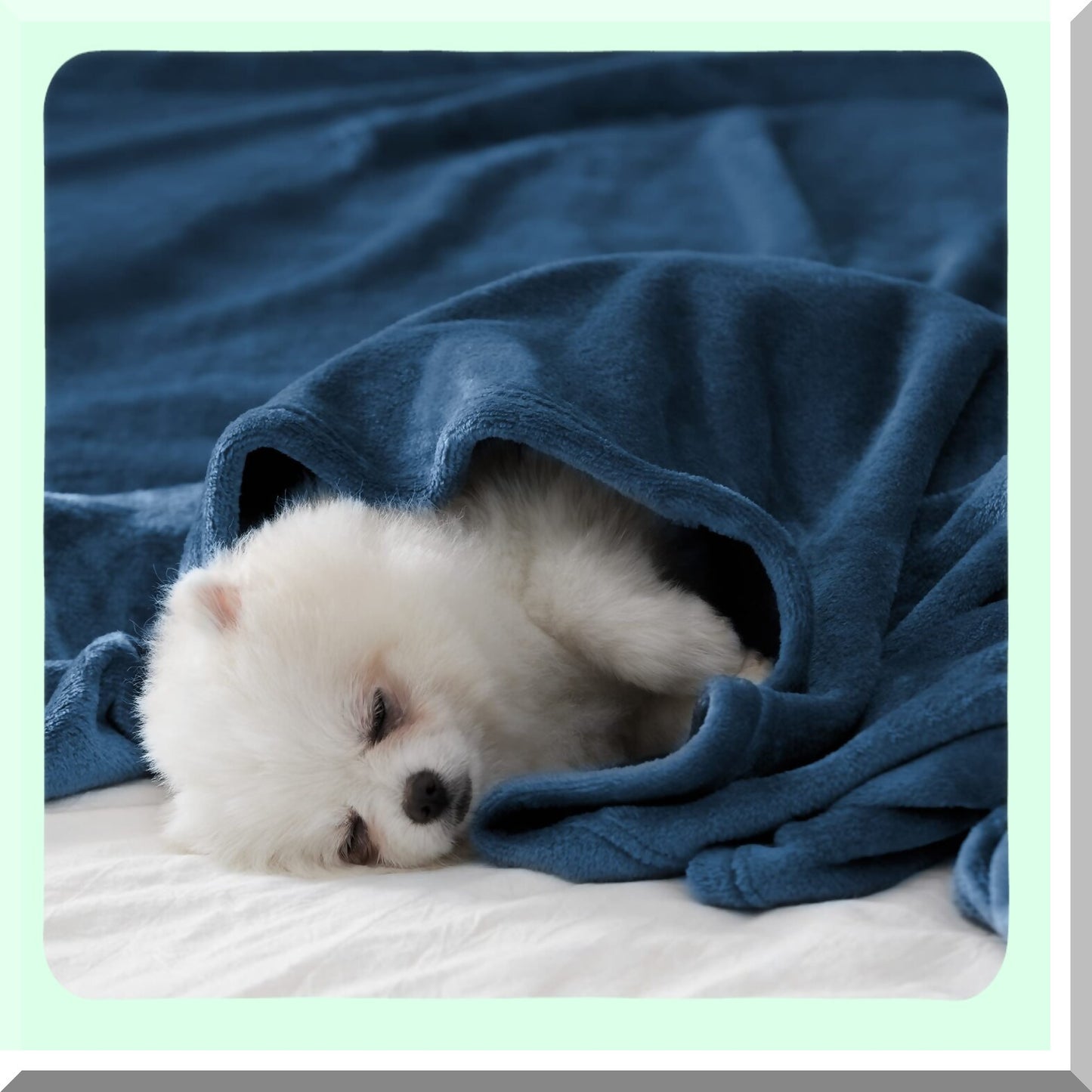 UltraCozy Super Soft Fleece Blanket - Lightweight Flannel Throw for Couch, Sofa, or Bed - All Seasons, Dusty Blue, 108" x 90""