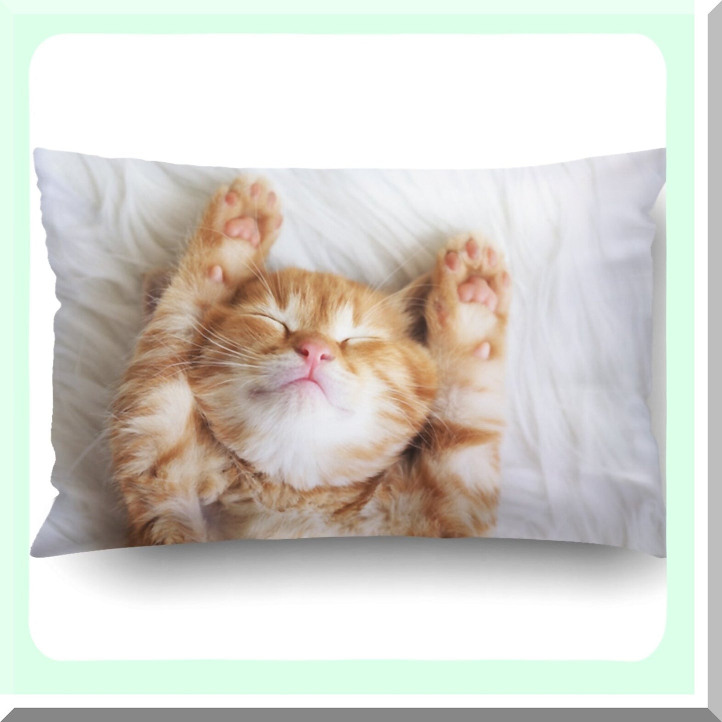 Kitten Queen Decorative Pillowcase - Hidden Zipper Throw Cushion Cover for Bedroom Sofa Couch - 20x30 Inches Waist Pillow Case