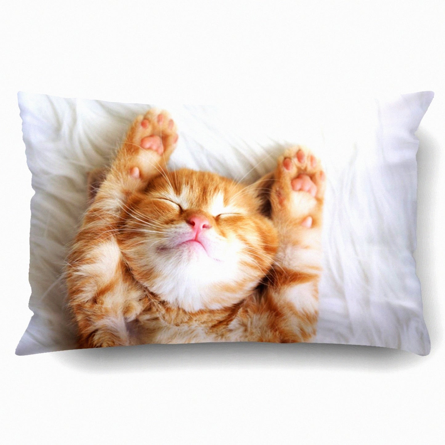 Kitten Queen Decorative Pillowcase - Hidden Zipper Throw Cushion Cover for Bedroom Sofa Couch - 20x30 Inches Waist Pillow Case