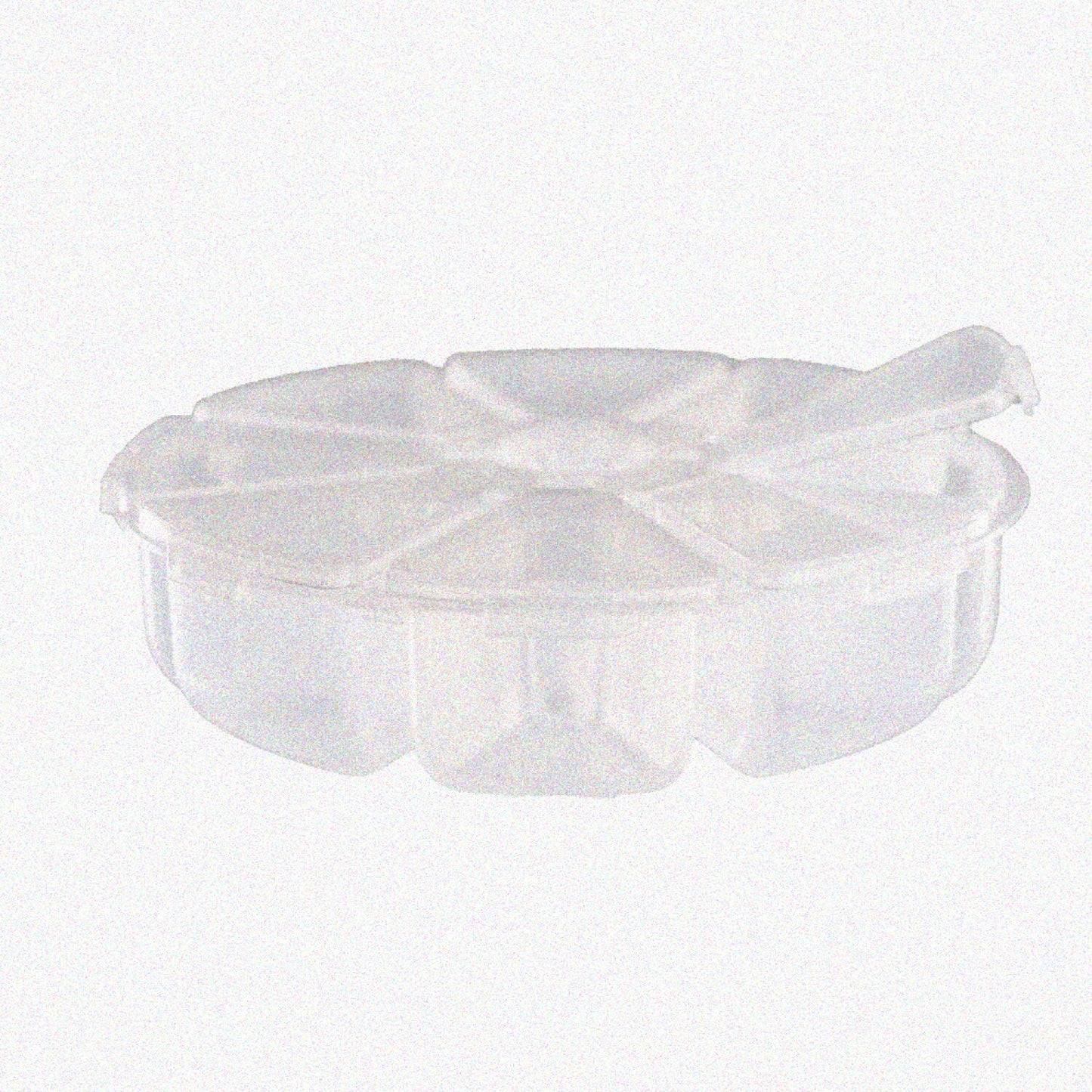 8 Compartment Clear Plastic Bead Storage Container
