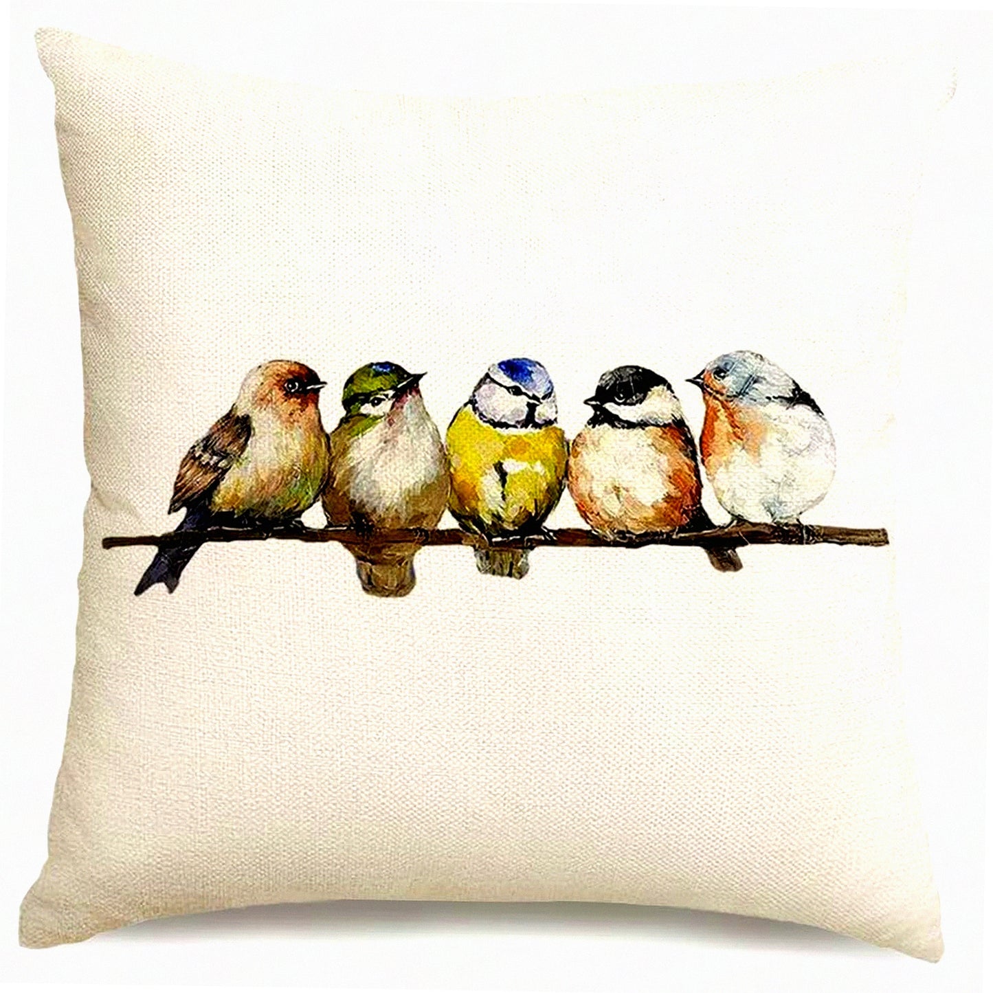 Birdsong Watercolor Pillowcases - Set of 2 Decorative Throw Pillows 18x18, Hand-Painted Rustic Birds Square Cushion Covers, Colorful Spring Summer Home Decor for Couch Sofa Outdoor