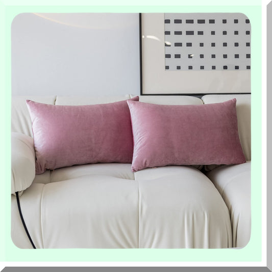 Plush Velvet Blush Pink Pillow Covers Set of 2