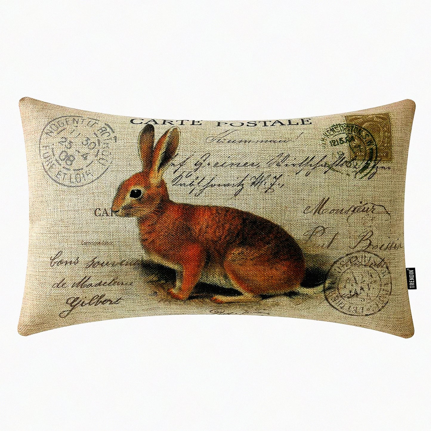 Retro Spring Farmhouse Bunny Lumbar Pillowcase - Decorative Cushion Cover for Couch Sofa Bedroom - Linen Pillow Covers 12x20 - PL972TR