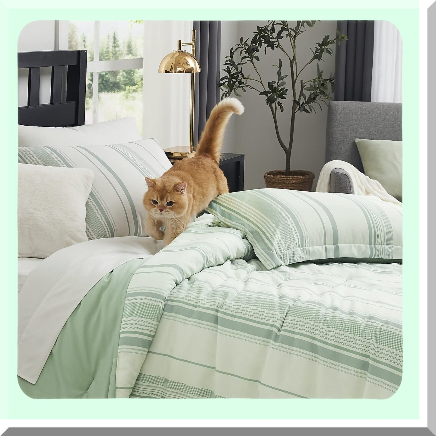 Green Stripe Comforter Set - 8 Piece Queen Bedding Bundle | All Season Lightweight & Breathable Bed in A Bag | Warm & Cozy Queen Bed Set with Sheets