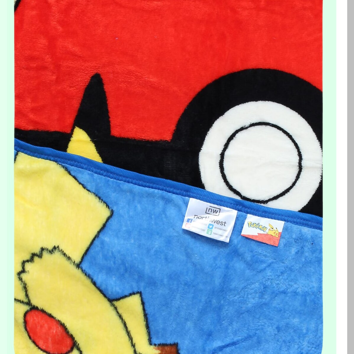 Evolve Friends Pokemon Micro Raschel Throw Blanket - Pikachu, Charmander, Bulbasaur, Squirtle 48" x 60"