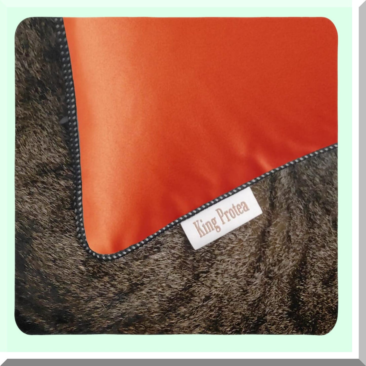 Orange Bliss Decorative Pillow Covers - Soft Fabric with Black & White Piping for Sofa, Couch, Bed, Chair - Square Cushion Cases 18x18 inch - Set of 2