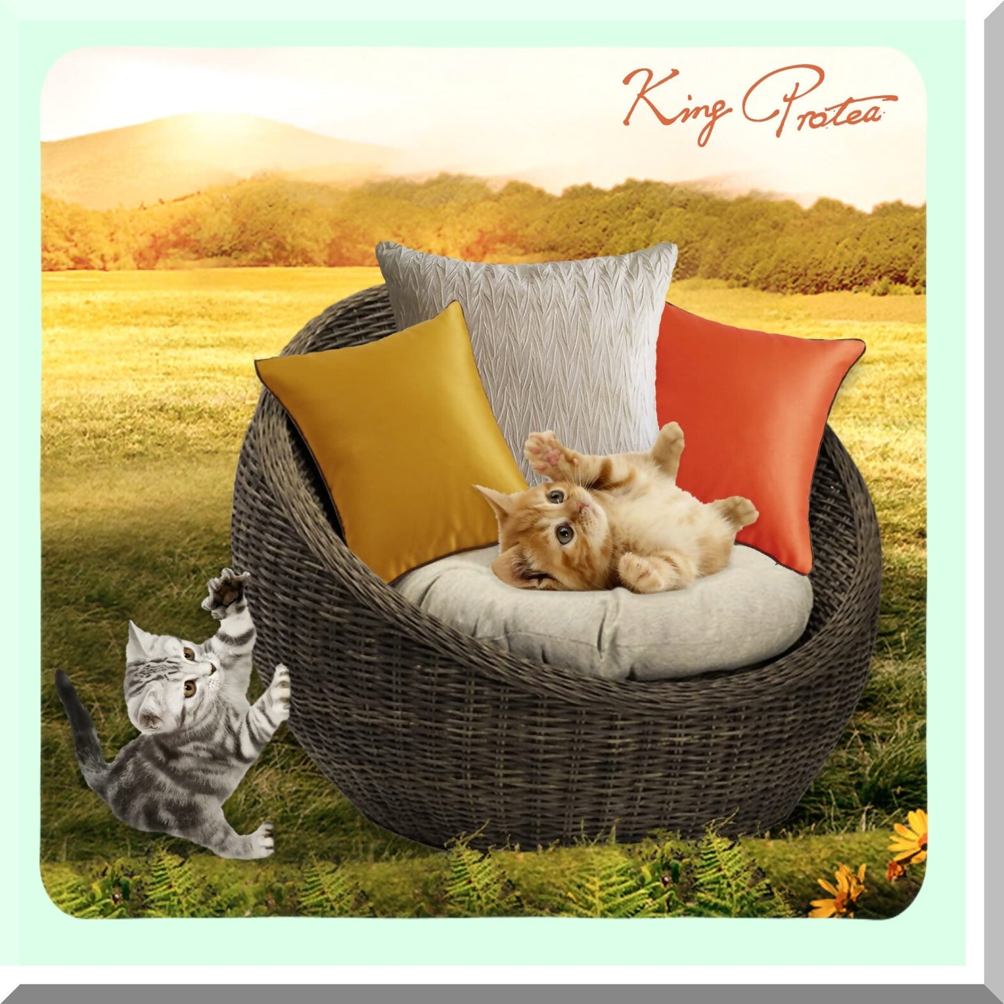 Orange Bliss Decorative Pillow Covers - Soft Fabric with Black & White Piping for Sofa, Couch, Bed, Chair - Square Cushion Cases 18x18 inch - Set of 2