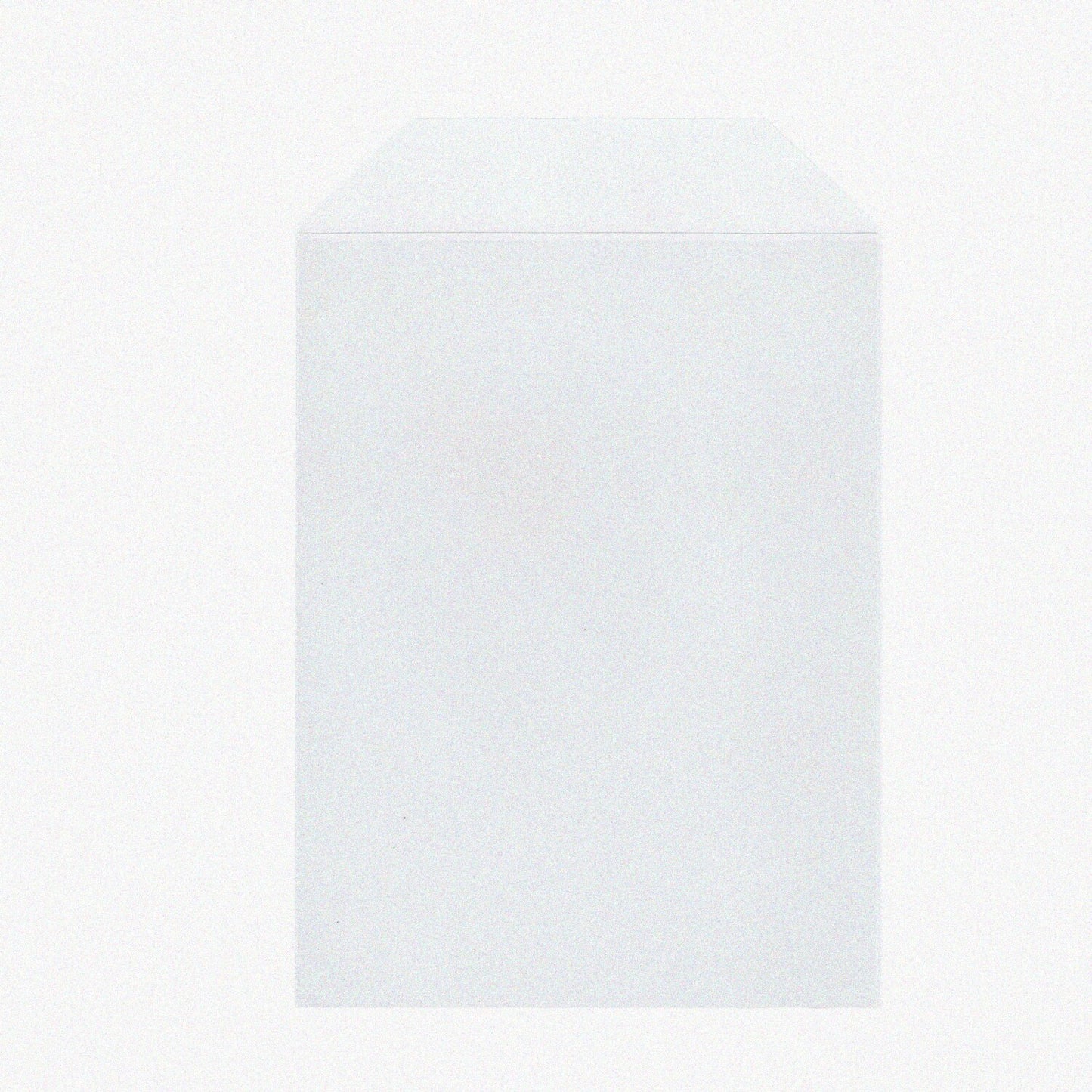 50 Clear Stamp and Die Storage Pockets 5.5"X7.25"