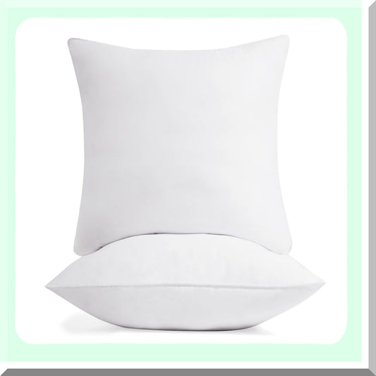 PlushDream 20x20 Pillow Inserts - Set of 2 | Fluffy Square Pillow Forms for Bed, Sofa, Couch | Decorative Indoor Outdoor Sham Stuffer | Premium Neck Pillow for Sleeping & Travel