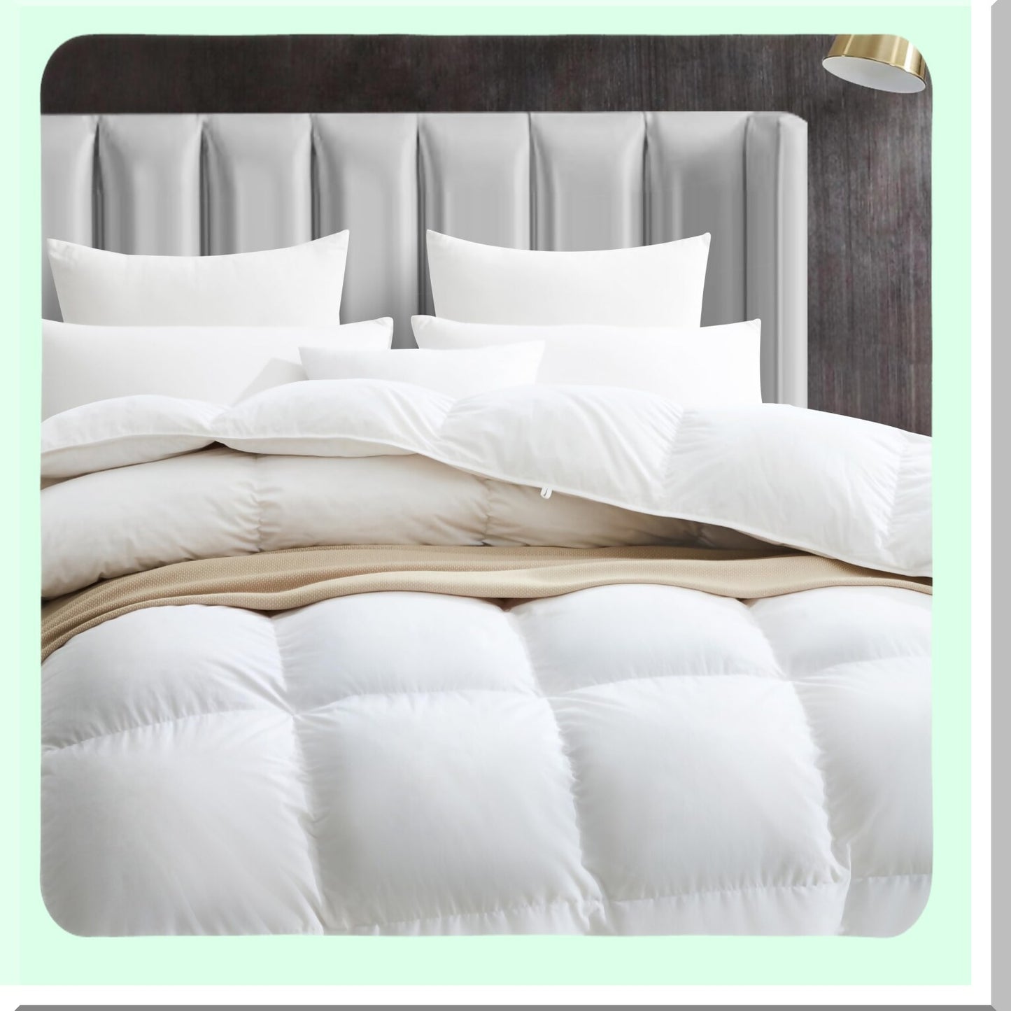 All Season White Down Comforter - Ultra Soft Queen Size Duvet Insert with Fluffy 100% Cotton Cover - 90 x 90 Inches - Cozy Comfort for Queen Bed