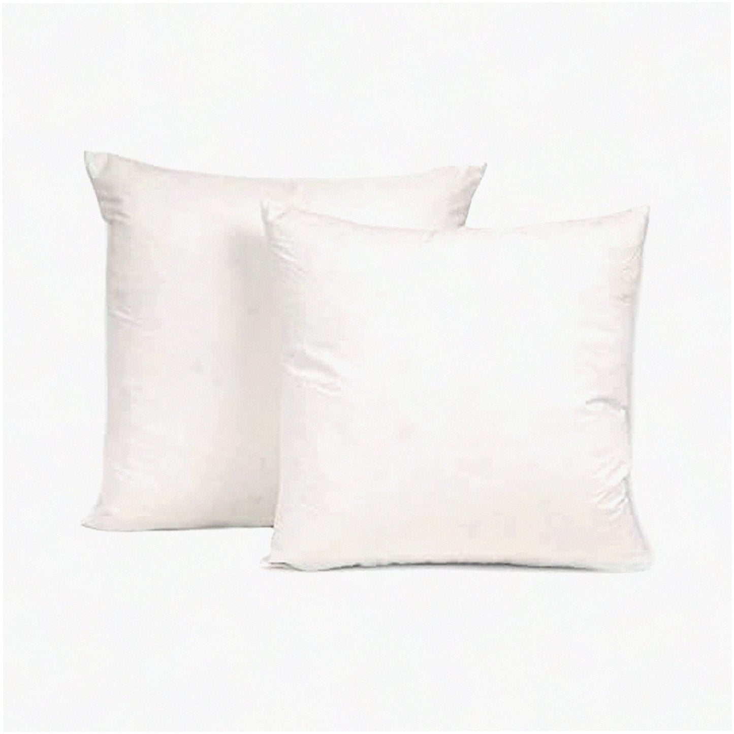 Luxury European Down Pillow Inserts Set - 26x26 White Goose Down, 100% Cotton Sham - Soft and Decorative Throw Pillows - Set of 2