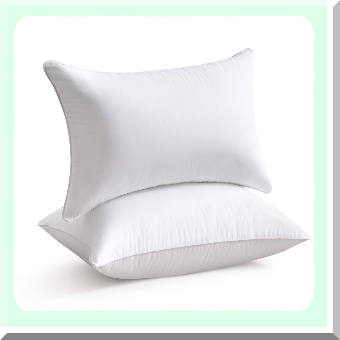 Premium Cotton Rectangle Pillow Insert Set - 12x20 (2 Pack) - Zippered Sofa Cushion - White Decorative Throw Pillow Pair - Interior Couch Accent