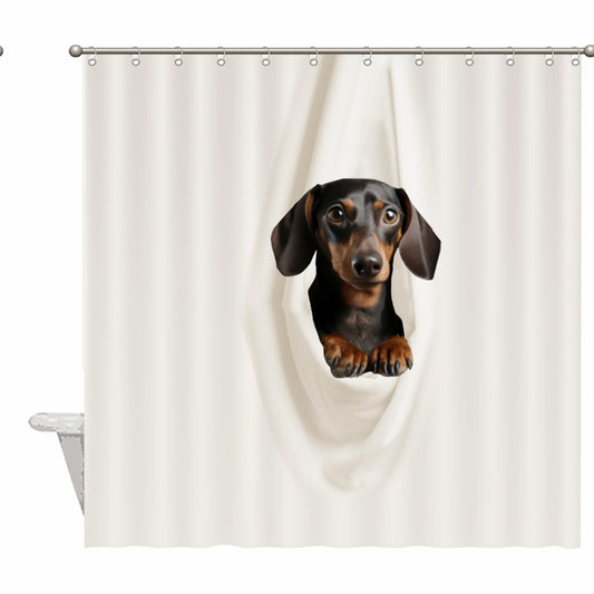 Dachshund Resting Shower Curtain 72x72 Inch