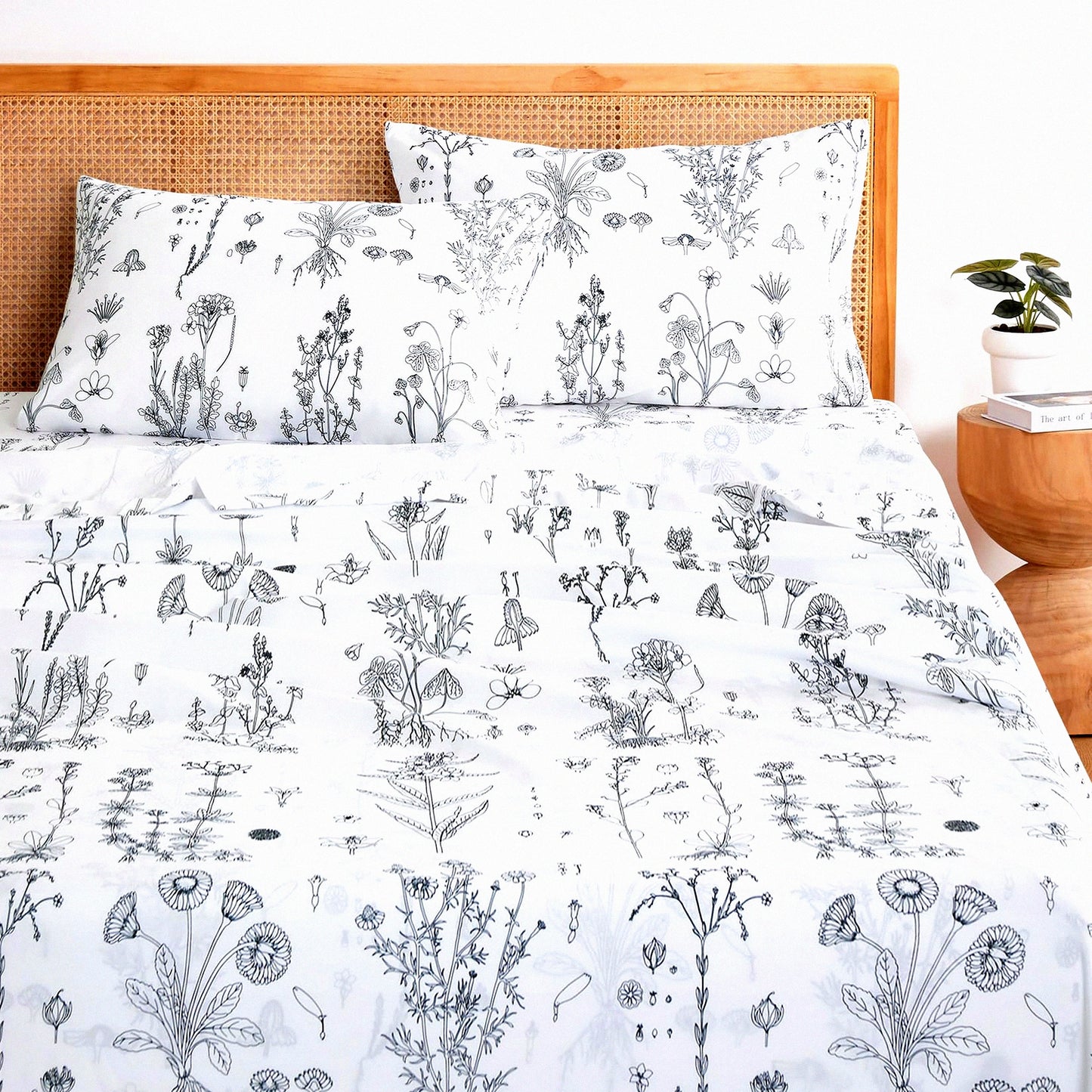 Botanical Bloom 4-Piece Sheet Set - Deep Pocket Floral Bed Sheets - Shabby Chic Black and White Flower - Soft Microfiber Patterned Bedding