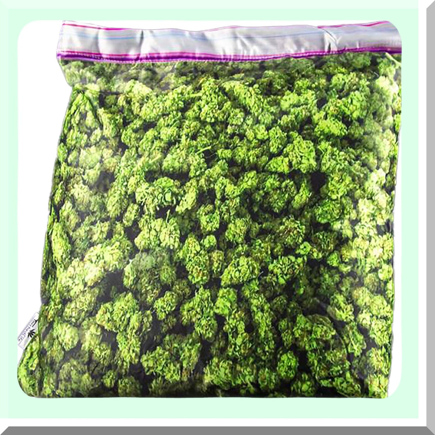 Secret Stash Pineapple Pillow - Decorative Throw Cushion with Hidden Compartment - 16x16 Inch Insert - Express Decor Pillowcase