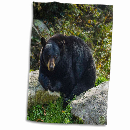 3D Rose North Carolina Black Bear Hand Towel 15"x22"