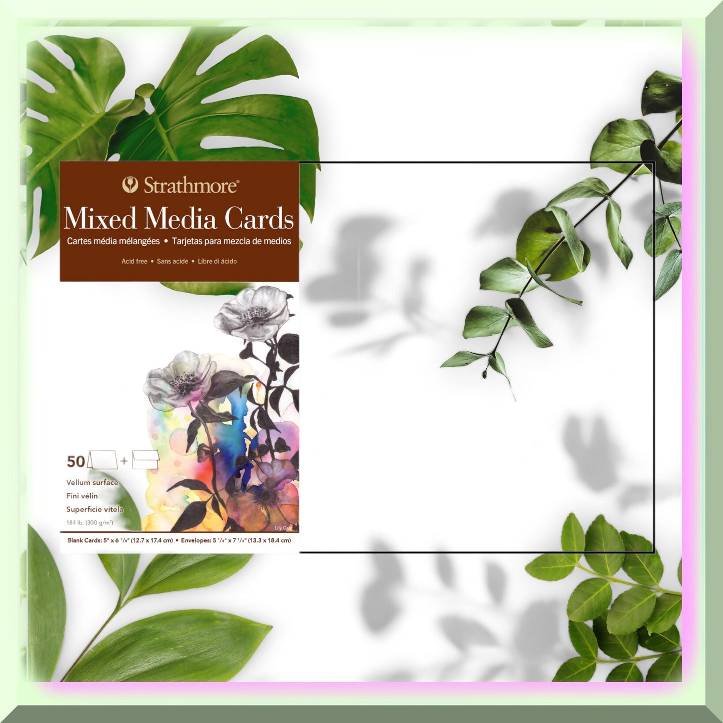 50 Pack Mixed Media Cards 5x6.875 inches with Envelopes