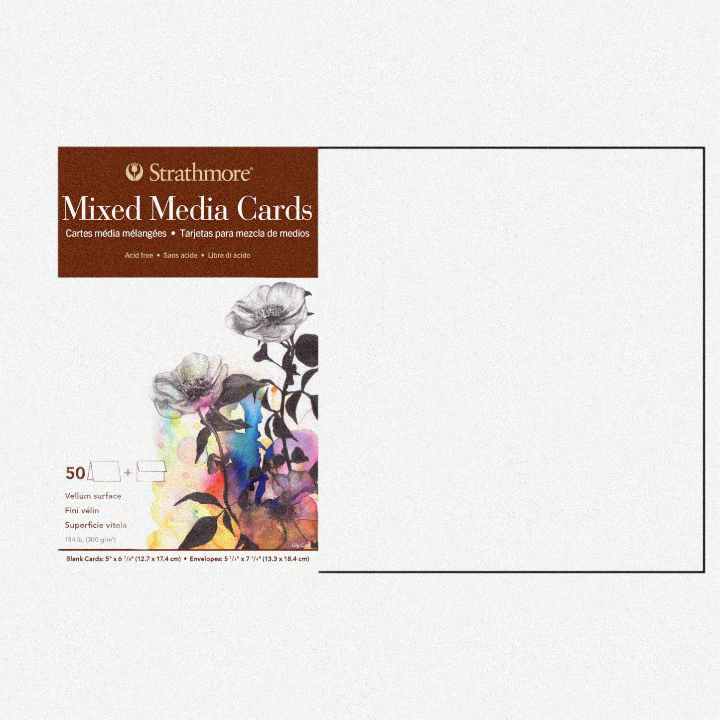 50 Pack Mixed Media Cards 5x6.875 inches with Envelopes