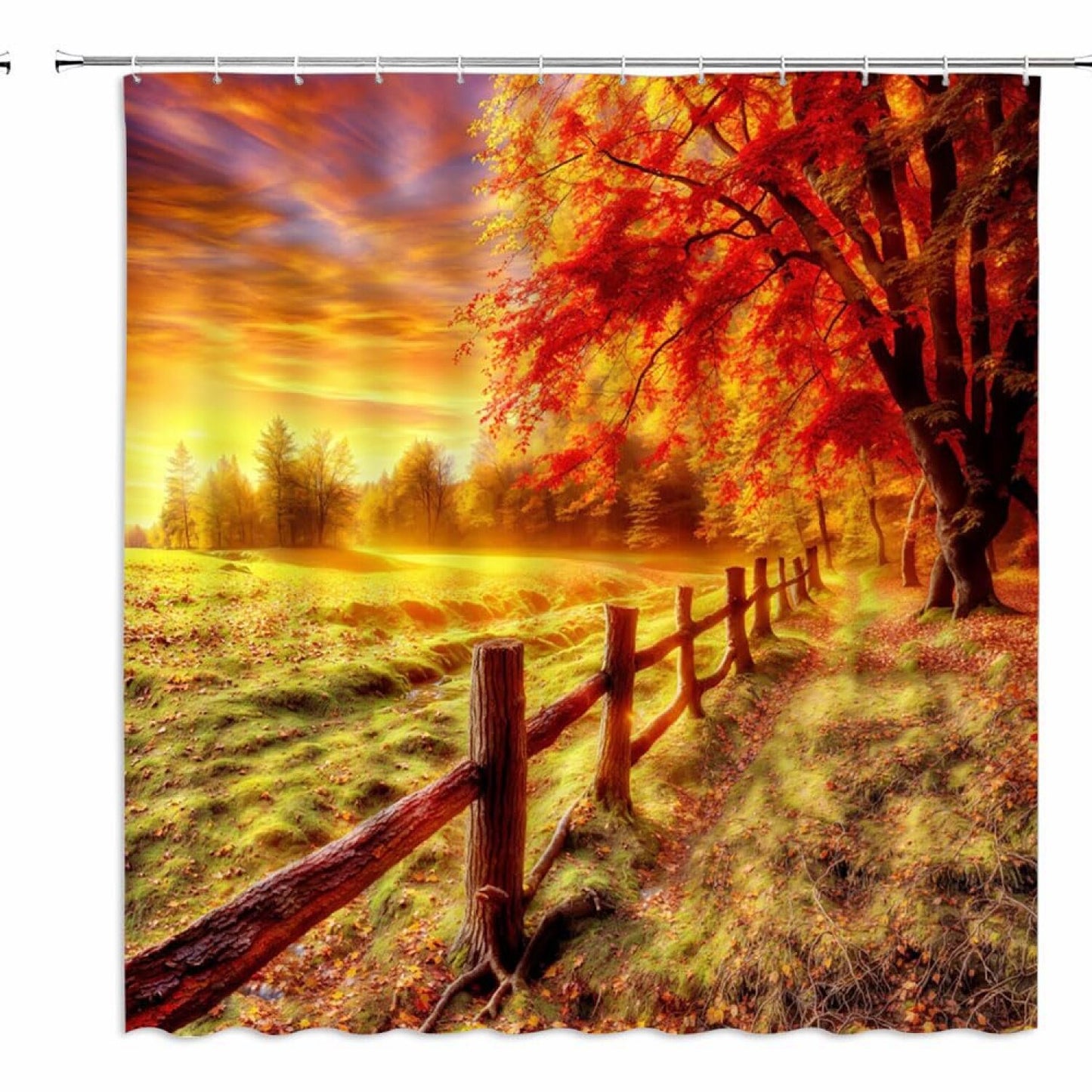 Forest Fall Shower Curtain 70x70 Inch with Hooks