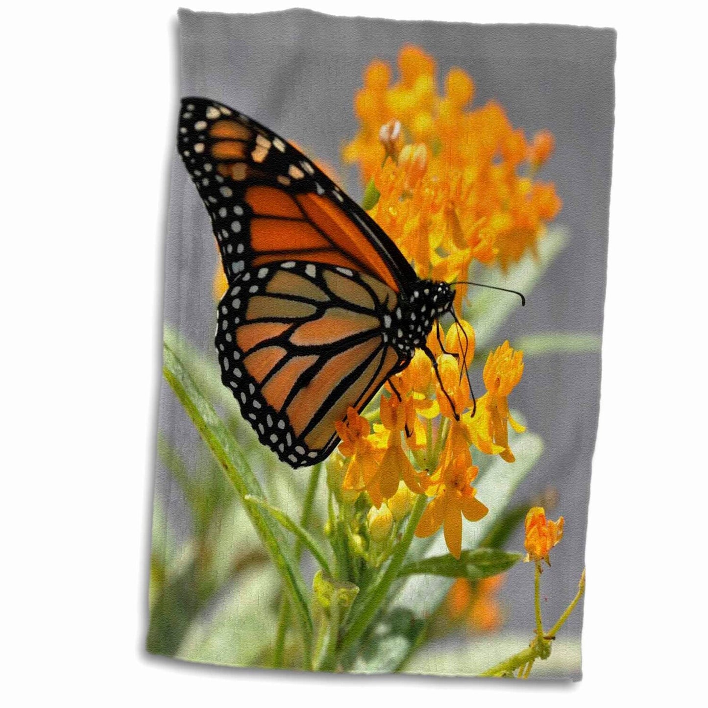 15x22 in. Monarch Butterfly Orange Flower Towel