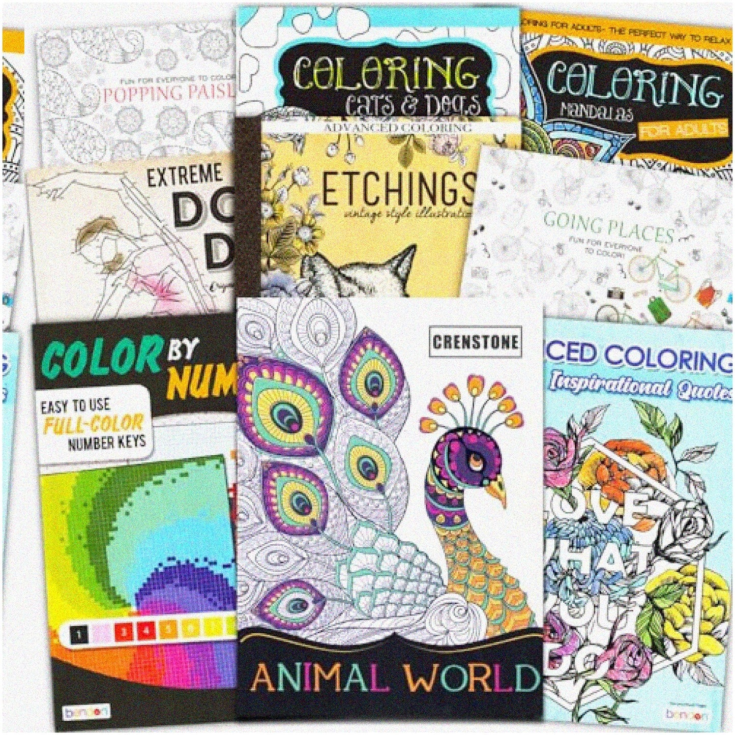 Adult & Teen Coloring Book Bundle 250+ Patterns