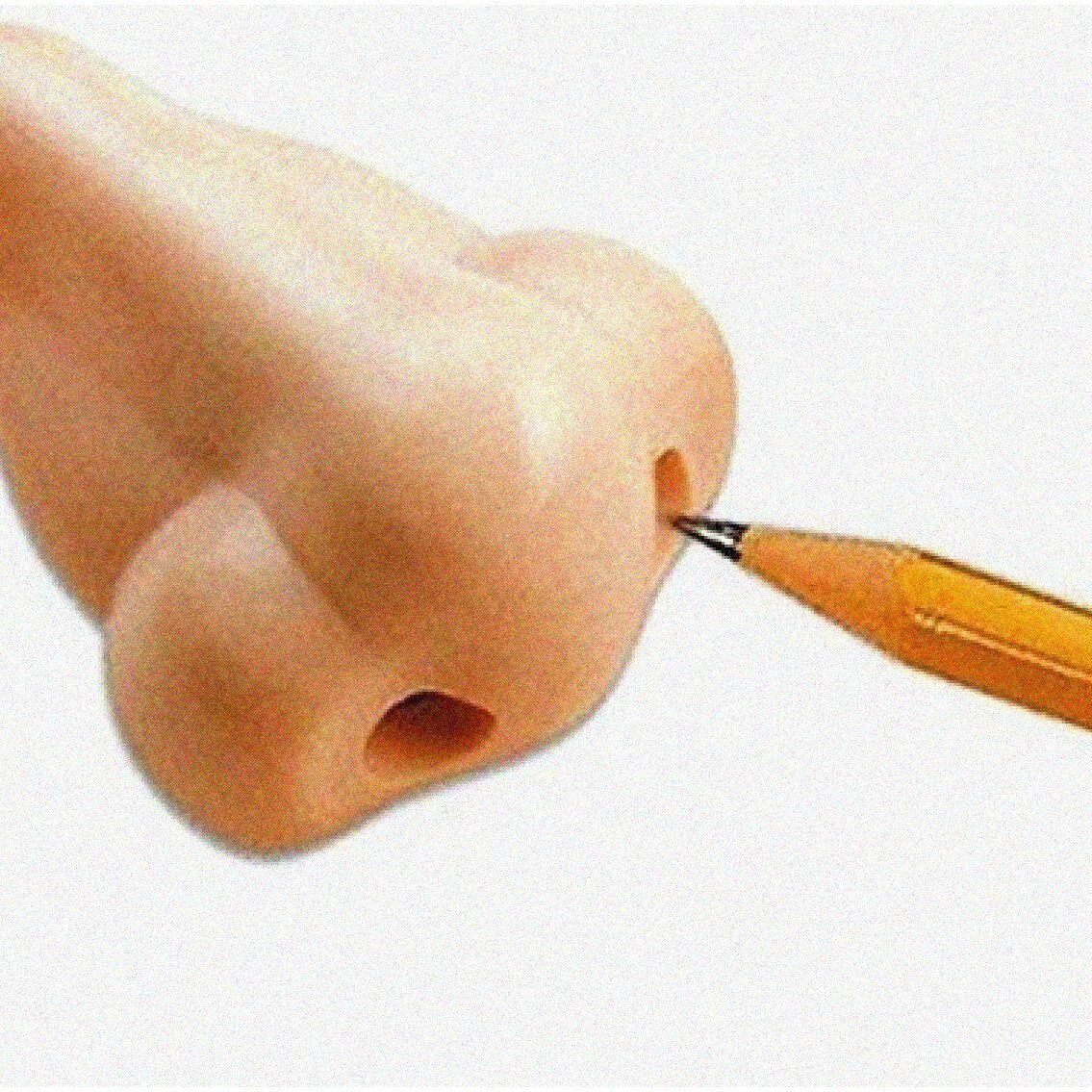 Nose Shaped Pencil Sharpener, 2-1/4"