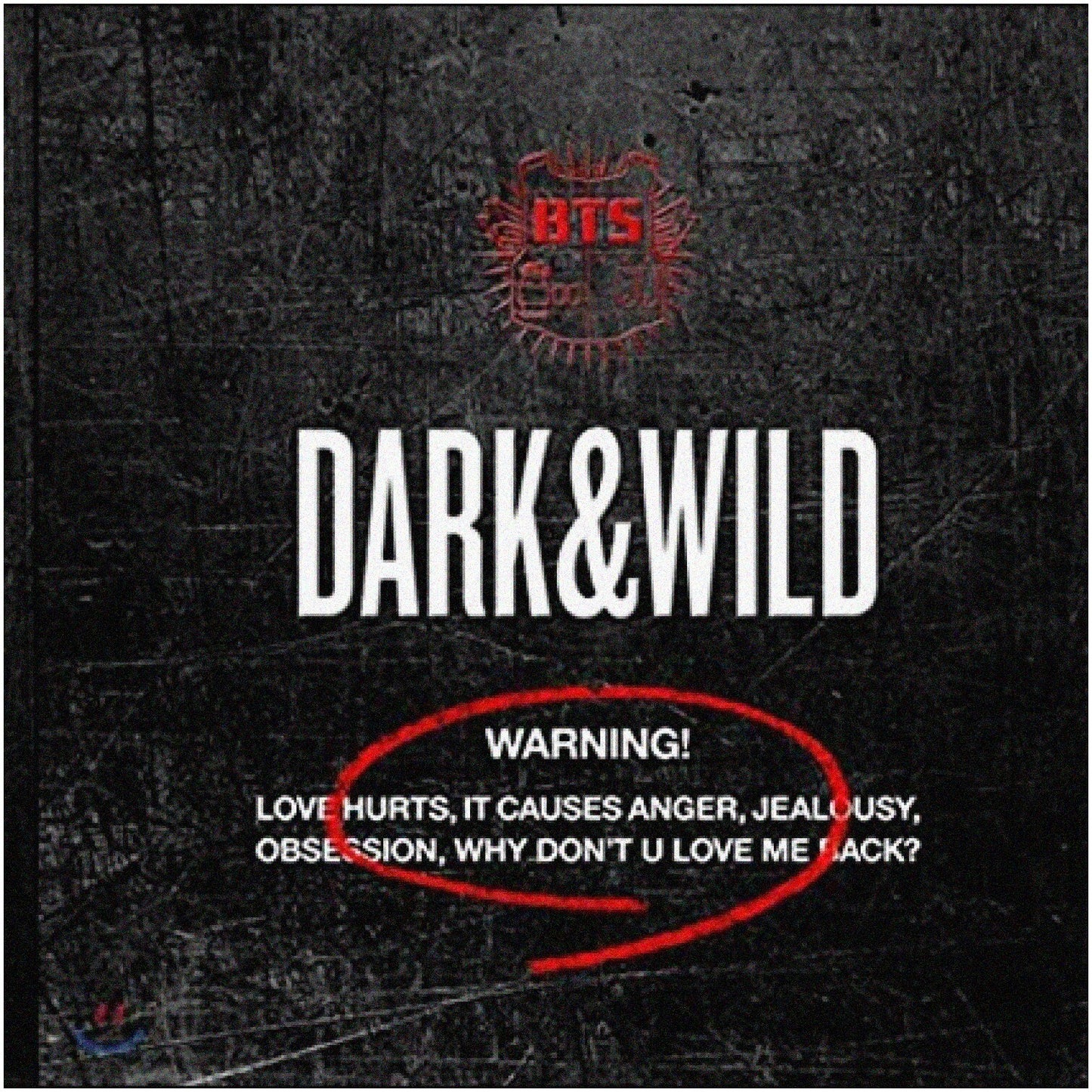 BTS Dark Wild Chronicles Limited Edition CD Set
