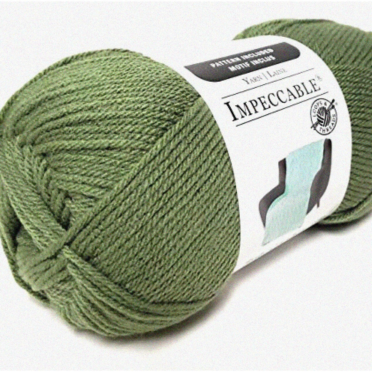 EcoChic Forest Whisper Yarn 4.5 oz Single Ball