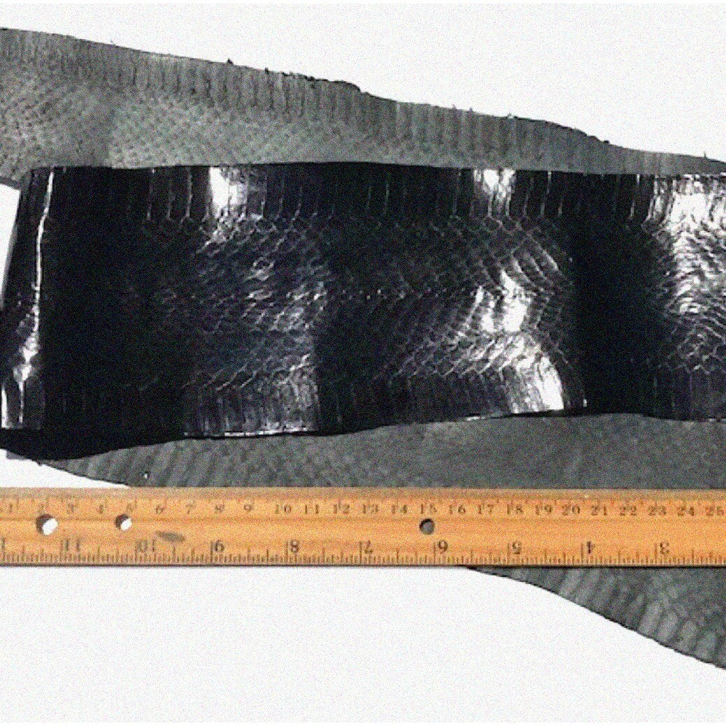 40+ Inch Black Cobra Reptile Decor with 3-4 Inch Width